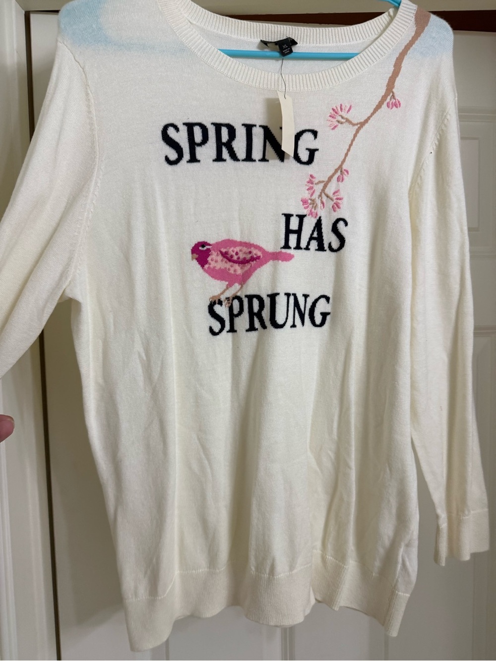 Talbots XL Graphic sweater